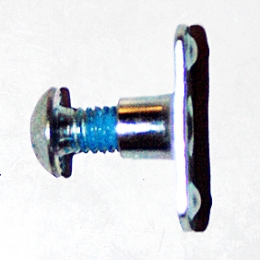 screw for tooth plate